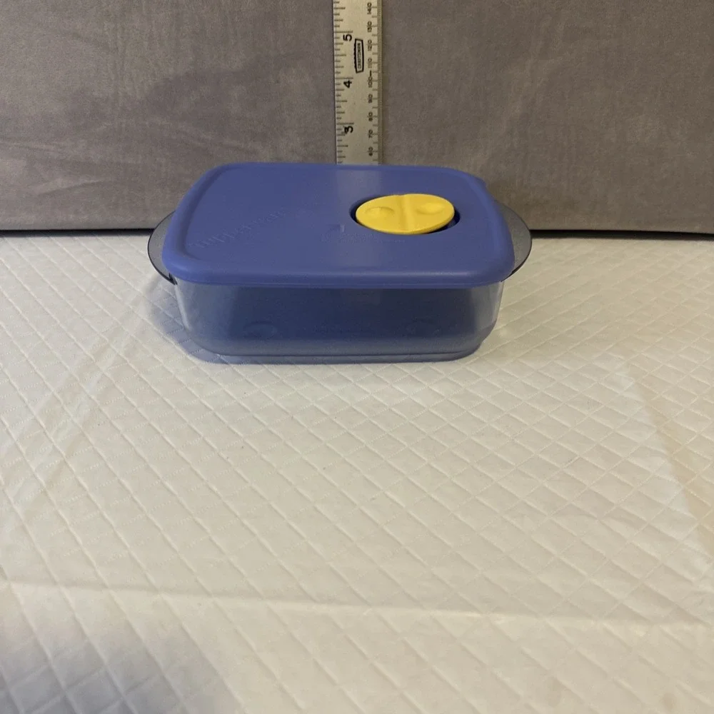 Tupperware Rock N Serve 2½‎ Cups Blue Container with Lid Vent Square 3385